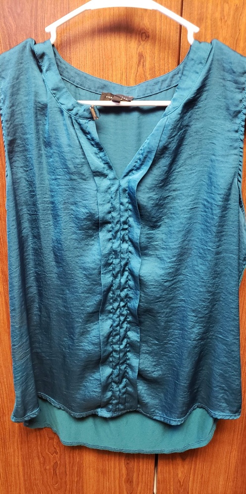 The LIMITED blouse